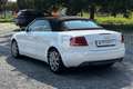 Audi A4 A4 Cabriolet 2.0 TDI F.AP. Top plus Weiß - thumbnail 7