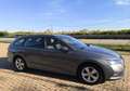 Skoda Octavia Wagon 1.0 e-tec Executive dsg Grigio - thumbnail 5
