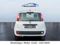 Fiat Panda Klima nur 64 Tkm Weiß - thumbnail 10