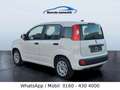 Fiat Panda Klima nur 64 Tkm Weiß - thumbnail 9