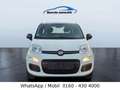 Fiat Panda Klima nur 64 Tkm Weiß - thumbnail 1