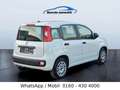 Fiat Panda Klima nur 64 Tkm Weiß - thumbnail 12
