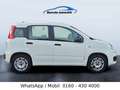 Fiat Panda Klima nur 64 Tkm Weiß - thumbnail 14