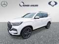 KGM Rexton REXTON+BLACKLINE+20ZOLL+PANO+360°+KAMERA+LEDER+ Blanc - thumbnail 1
