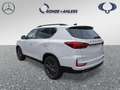 KGM Rexton REXTON+BLACKLINE+20ZOLL+PANO+360°+KAMERA+LEDER+ Blanc - thumbnail 3