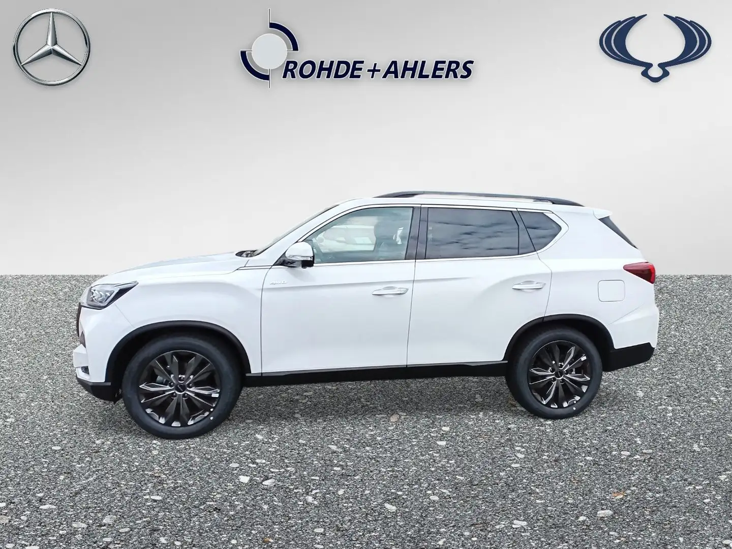 KGM Rexton REXTON+BLACKLINE+20ZOLL+PANO+360°+KAMERA+LEDER+ Blanc - 2