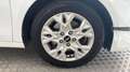 Kia Ceed / cee'd 1.0 T-GDi DynamicLine Camera, Apple / Android Weiß - thumbnail 3