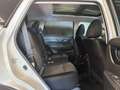 Nissan X-Trail 1.7 dci N-Connecta 4wd x-tronic 7p.ti my20 Blanc - thumbnail 11
