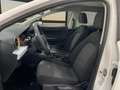 SEAT Ibiza 1.0 MPI S&S Reference XM 80 Blanco - thumbnail 16