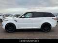 Land Rover Range Rover Sport HSE 4.4SDV8 Pano NETTO30000€ Weiß - thumbnail 16