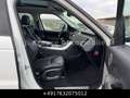 Land Rover Range Rover Sport HSE 4.4SDV8 Pano NETTO30000€ Weiß - thumbnail 21