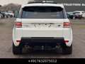 Land Rover Range Rover Sport HSE 4.4SDV8 Pano NETTO30000€ Weiß - thumbnail 12