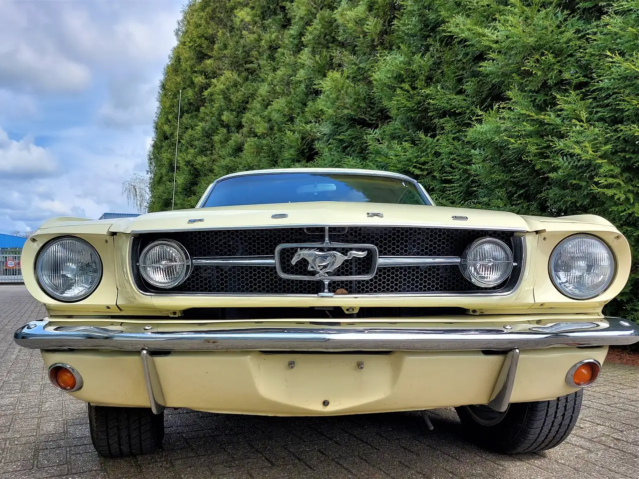 Ford Mustang 1965 Fastback 289 automaat, foto 5