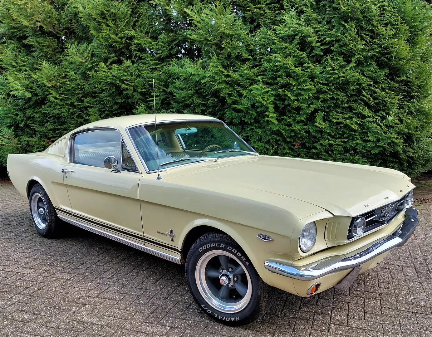 Ford Mustang Fastback 289 automaat Jaune - 1