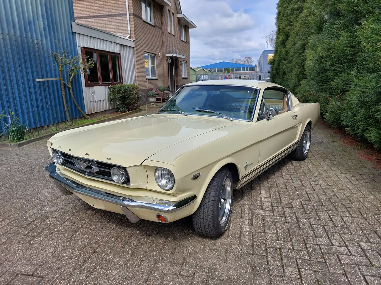 Ford Mustang 1965 Fastback 289 automaat, foto 6