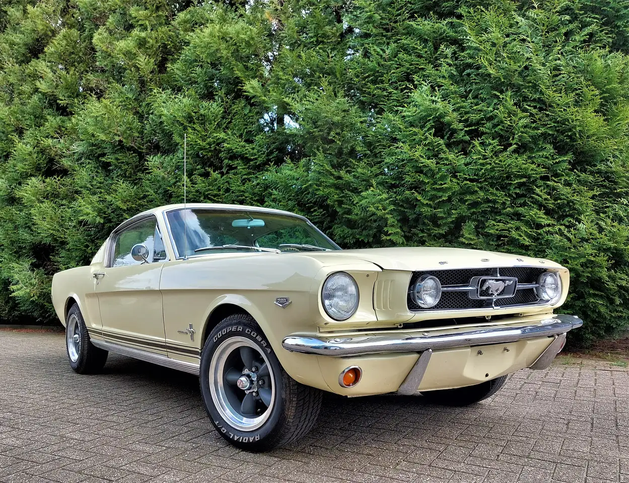 Ford Mustang 1965 Fastback 289 automaat, foto 3