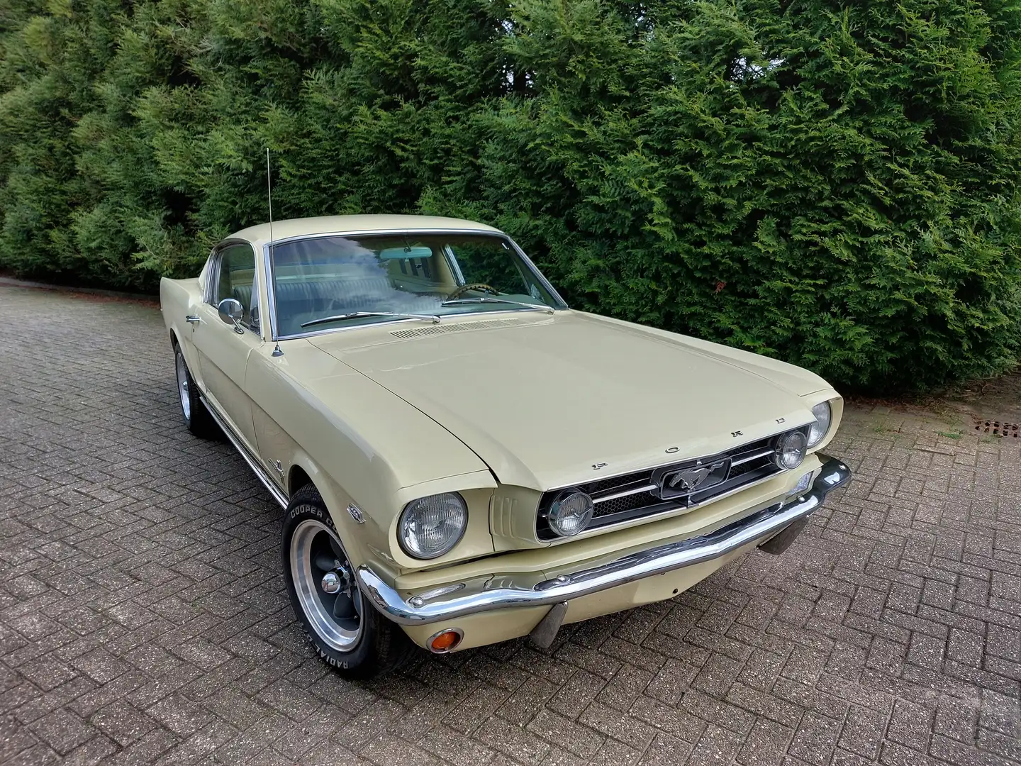 Ford Mustang Fastback 289 automaat Geel - 2