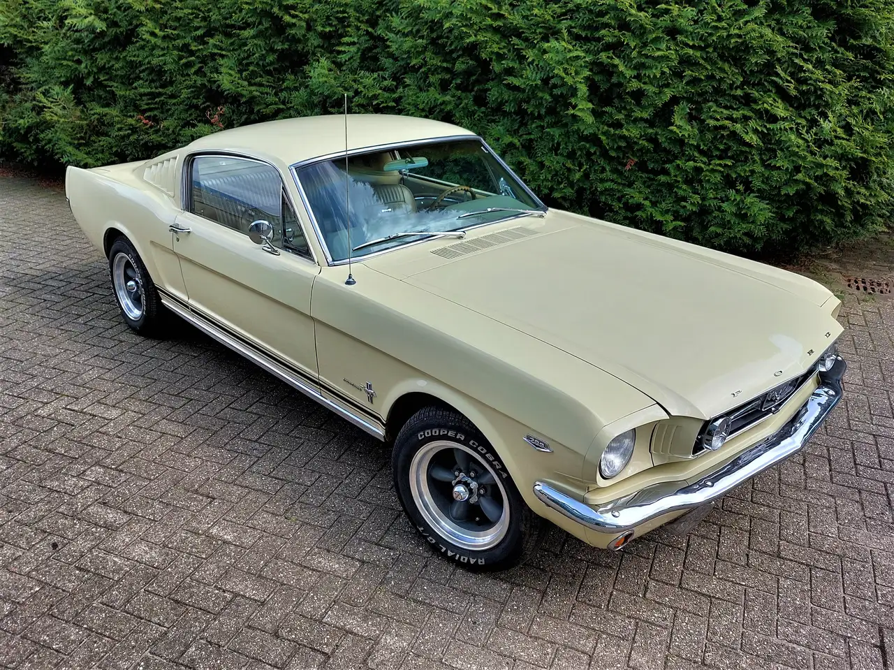 Ford Mustang 1965 Fastback 289 automaat, foto 4