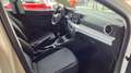 SEAT Ibiza Style*LED-SCHEINWERFER/PDC/TEMP/FREISPRECH/APPLE/* Weiß - thumbnail 18