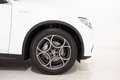 Alfa Romeo Stelvio 2.2 T.D 190cv AT8 RWD EXECUTIVE *PELLE, CERCHI 19* Blanc - thumbnail 14