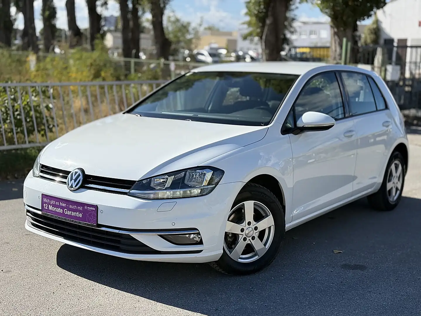 Volkswagen Golf Comfortline 1,6 TDI***Pickerl Neu****Finanzieru... Weiß - 1