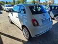 Fiat 500 500 1.2 Collezione 69cv my19 Weiß - thumbnail 7