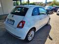 Fiat 500 500 1.2 Collezione 69cv my19 Weiß - thumbnail 5