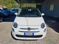 Fiat 500 500 1.2 Collezione 69cv my19 Weiß - thumbnail 2