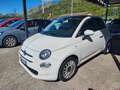 Fiat 500 500 1.2 Collezione 69cv my19 Weiß - thumbnail 1