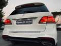 Mercedes-Benz GLE 250 Premium **POSS.PACK SPORT**VED.NOTE Biały - thumbnail 2