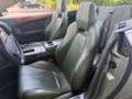 Aston Martin DB9 DB9 Volante Touchtronic* Scheckheft Grün - thumbnail 21