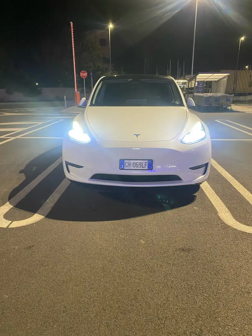 Tesla Model Y Long Range Dual Motor awd Biały - 1