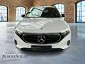 Mercedes-Benz EQA 250 progressive AHK AUT Kam. KlimaA LED LM Blanc - thumbnail 2