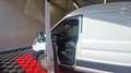 Ford Transit t350 l3h2 2.0 ecoblue 130 ss trend business Blanc - thumbnail 11
