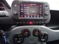 Fiat New Panda 1.0 Hybride Blauw - thumbnail 4
