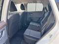 Nissan X-Trail e-Power e-4orce 4WD 7 posti N-Connecta NAVI - LED Bianco - thumbnail 10