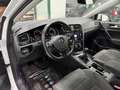 Volkswagen Golf 5p 1.4 tgi Highline 110cv - thumbnail 8