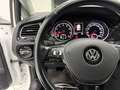 Volkswagen Golf 5p 1.4 tgi Highline 110cv - thumbnail 11