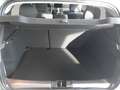 Dacia Sandero Journey TCe 100 6-Gang Grau - thumbnail 12
