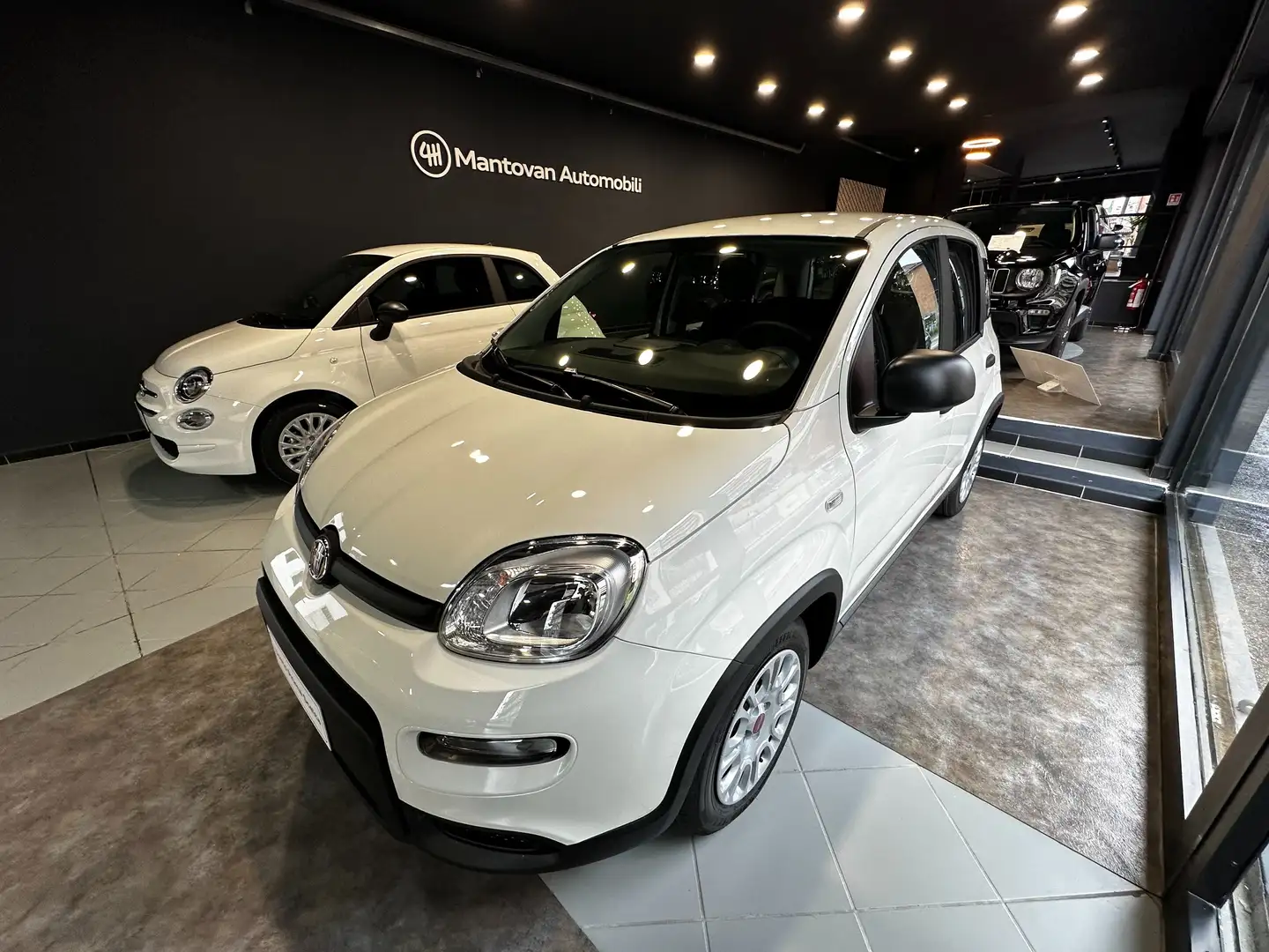 Fiat Panda 1.0 hybrid vari colori - 1