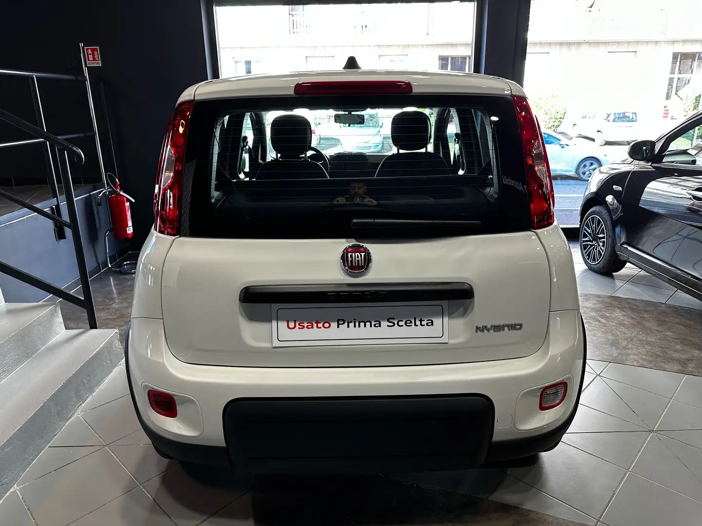 Fiat Panda 1.0 hybrid vari colori - 2