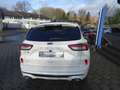 Ford Kuga 2.0 Ecoblue Autom. 4x4 ST-Line X +Ahk+Pano+LED Blanc - thumbnail 6