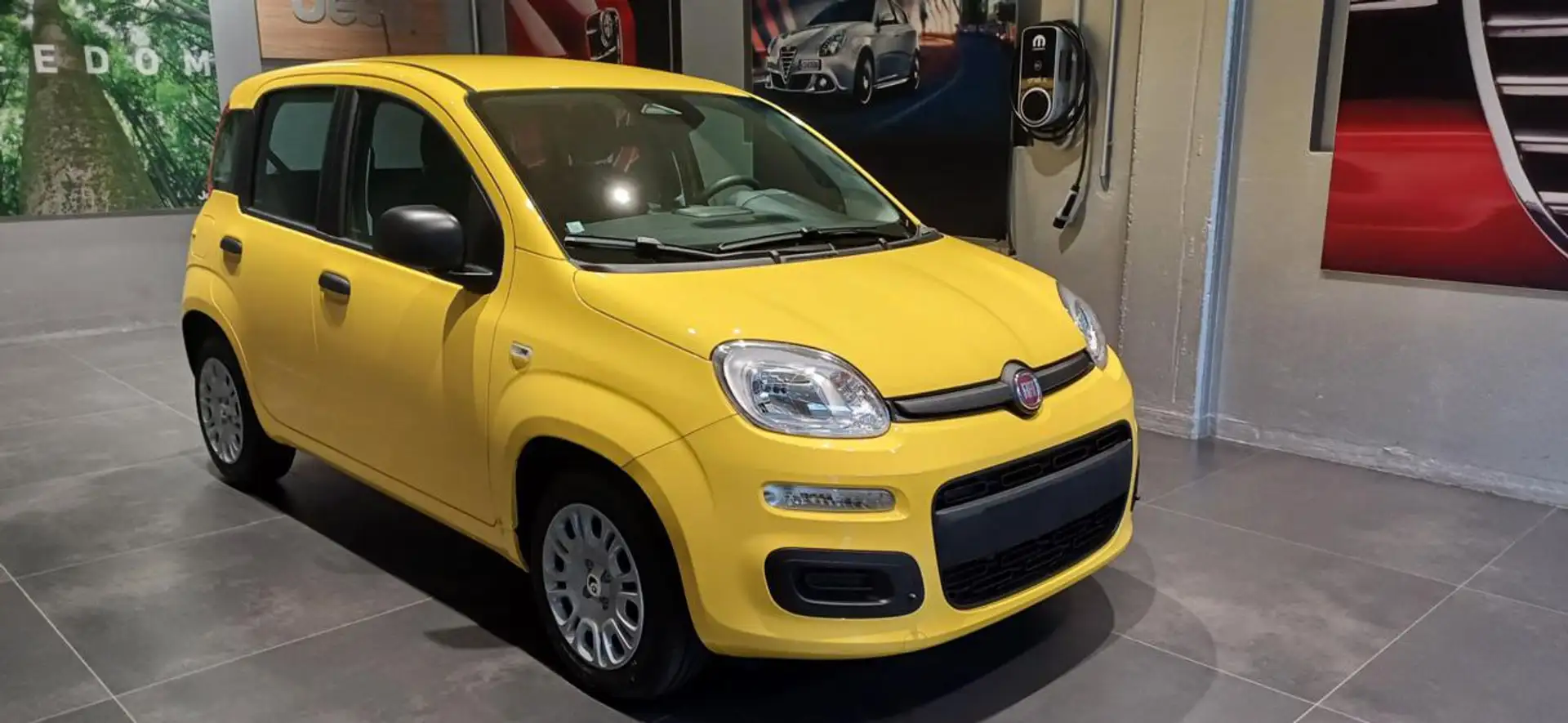 Fiat Panda 1.0 FireFly S&S Hybrid Giallo - 1