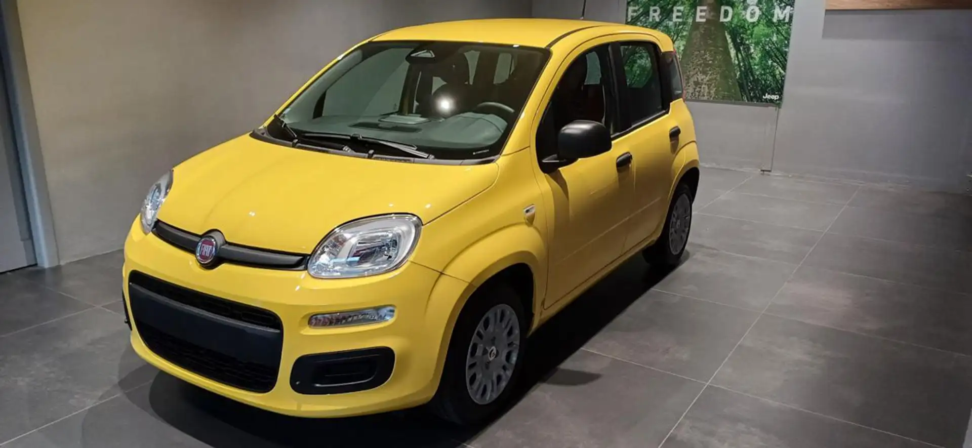 Fiat Panda 1.0 FireFly S&S Hybrid Giallo - 2