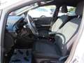 Ford Fiesta ST-Line, NAVI, LED, B&O, R.-KAM.. Weiß - thumbnail 12