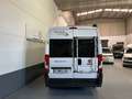Fiat Ducato 30 2.3 Multijet Combi Corto 96kW (130CV) Weiß - thumbnail 26