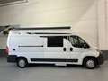 Fiat Ducato 30 2.3 Multijet Combi Corto 96kW (130CV) Weiß - thumbnail 24