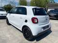 smart forFour PASSION 16"CRUISE/NAVI/SENS/LUCI/PIOGGIA/PARK/KAME Bianco - thumbnail 14
