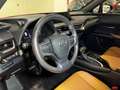 Lexus UX 250h Executive 4WD Naranja - thumbnail 11