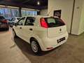 Fiat Punto Punto 1.2i Young II Blanc - thumbnail 4